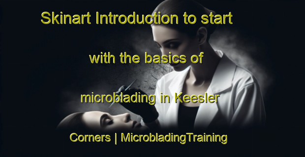 Skinart Introduction to start with the basics of microblading in Keesler Corners | MicrobladingTraining | MicrobladingClasses | SkinartTraining-United States
